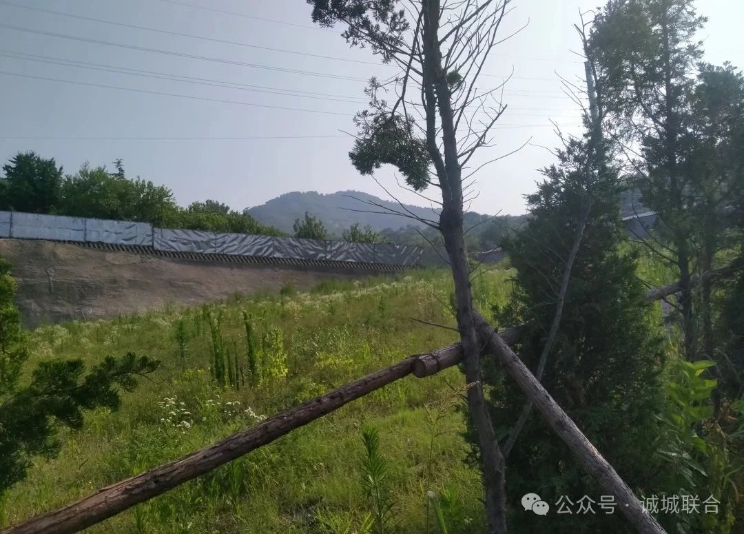 微信图片_20250714162519.jpg
